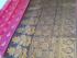 PL BIG BUTTA SAREE